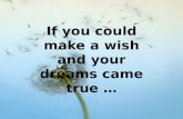 If you could make a wish and your dreams came true …