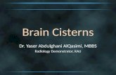 Brain Cisterns Dr. Yaser Abdulghani AlQasimi, MBBS Radiology Demonstrator, KAU.
