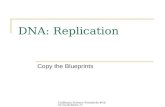 California Science Standards #1d,4c,5a,5b,6b,6c,7c DNA: Replication Copy the Blueprints.