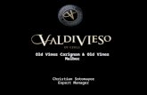 Old Vines Carignan & Old Vines Malbec Christian Sotomayor Export Manager.