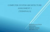PREKSHA KASATWAR DEEP PATEL TIMOTHY ADAMS (SECTION 2.4.2) COMPUTER SYSTEM ARCHITECTURE ASSIGNMENT 1 (TERMINALS)
