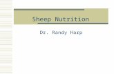 Sheep Nutrition Dr. Randy Harp. Sheep Nutrition  Digestive System- handout  Ruminant:  Rumen, Reticulum, Omasum and Abomasum  Ruminant not developed.