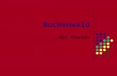 Buchenwald Abi Dawson. Nazi Camps Doors of Buchenwald 250,000 Passed Through.