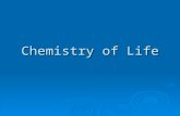 Chemistry of Life. All matter in the universe consists of elements  An element is a pure substance Examples of elements needed for life: CarbonC HydrogenH.