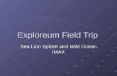 Exploreum Field Trip Sea Lion Splash and Wild Ocean IMAX.