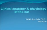 Clinical anatomy & physiology of the ear YANG Jun, MD, Ph.D. 09/18/09.
