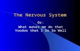 The Nervous System Or: What makes me do that Voodoo that I Do So Well.