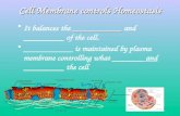 1 Cell Membrane controls Homeostasis ___________It balances the ___________ and _________ of the cell. ___________ is maintained by plasma membrane controlling.