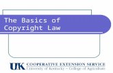 The Basics of Copyright Law. How does copyright pertain to Extension agents? Responsible for making newsletters attractive Pull images from the web to.