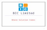 1 BIC Limited Where Solution Comes. 2 About Us BIC Limited was established in 2003, BIC is a Web Services and Consulting business based in Hong Kong,