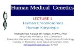 Human Medical Genetics LECTURE 1 Human Chromosomes Human Karyotype Muhammad Faiyaz-Ul-Haque, M.Phil, PhD Associate Professor and Consultant Molecular Genetics.