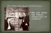 Who are these two famous characters of science?. Mendel (1865): Inheritance.