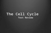 The Cell Cycle Test Review. 1. Which of the following is not a reason cells divide? A.Cells divide to reproduce asexually. B.Cells divide so a multicellular.