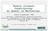 Remote Ischemic Conditioning: An Update on Mechanisms Remote Ischemic Conditioning: An Update on Mechanisms Karin Przyklenk PhD Director, Cardiovascular.