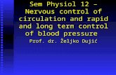 Sem Physiol 12 – Nervous control of circulation and rapid and long term control of blood pressure Prof. dr. Željko Dujić.
