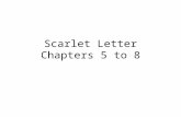 Scarlet Letter Chapters 5 to 8. Areas of Concern giving rise to Conflict The private self versus public role Hester’s identity is her inner life (Her.