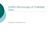 CARS Microscopy of Colloidal Gels Evangelos Gatzogiannis.