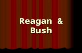 Reagan & Bush. Ronald Reagan 1911 – 2004 1911 – 2004 40 th President (1981 – 89) 40 th President (1981 – 89) Former actor Former actor Former Gov. of.