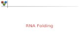 RNA Folding. RNA Folding Algorithms Intuitively: given a sequence, find the structure with the maximal number of base pairs For nested structures, four.