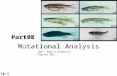 Mutational Analysis 20-1 (Ref: Hyde’s Genetics, Chapter 20) Part08.