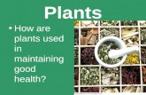 Plants How are plants used in maintaining good health?