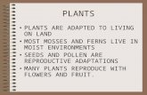 PLANTS PLANTS ARE ADAPTED TO LIVING ON LAND MOST MOSSES AND FERNS LIVE IN MOIST ENVIRONMENTS SEEDS AND POLLEN ARE REPRODUCTIVE ADAPTATIONS MANY PLANTS.