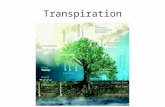 Transpiration. the release of water vapor by plants to the atmosphere “is not an essential or an active physiological function of plants” a largely passive.