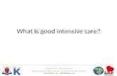 What is good intensive care?. Introduction What is Intensive Care? The importance of ICU nurses, teamwork and routines.