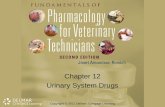 Chapter 12 Urinary System Drugs Copyright © 2011 Delmar, Cengage Learning.