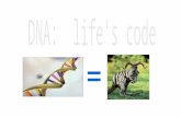 _____________ D eoxyribo- N ucleic A cid DNA makes up genes that determines the ______ of all living things….such as: traits Eye color, skin color, texture,