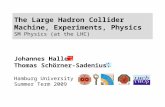 UHH SS09: LHC The Large Hadron Collider Machine, Experiments, Physics SM Physics (at the LHC) Johannes Haller Thomas Schörner-Sadenius Hamburg University.