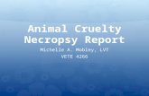 Animal Cruelty Necropsy Report Michelle A. Mobley, LVT VETE 4266.