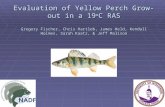 Evaluation of Yellow Perch Grow-out in a 19 o C RAS Gregory Fischer, Chris Hartleb, James Held, Kendall Holmes, Sarah Kaatz, & Jeff Malison.