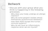 Bellwork Discuss with your group what you think is happening in the following processes. ◦ Why does your body undergo an allergic reaction? ◦ Why do some.