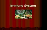 Immune System. The Immune System The function of the immune system is to fight infection through the production of cells that inactivate foreign substances.