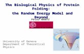 University of Geneva Department of Theoretical Physics The Biological Physics of Protein Folding: the Random Energy Model and Beyond Péter HANTZ.