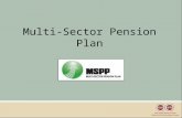 Multi-Sector Pension Plan. 2 Outline 1.Retirement Income Sources 2.Types of Pension Plans 3.Outline of the MSPP – Eligibility, Benefits, etc.