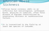 African Horse Sickness  African horse sickness (AHS) is an infectious but noncontagious, arthropod-borne, peracute to subacute, often fatal disease of.