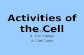 Activities of the Cell I.Cell Factory II.Cell Energy III.Cell Cycle.