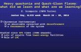 Heavy quarkonia and Quark-Gluon Plasma: what did we learn and what are we learning? E. Scomparin (INFN Torino) Junior Day, ALICE week March 24 – 28, 2014.