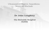 Ultrasound in Obstetric Anaesthesia- Neuraxial Blockade Dr John Loughrey The Rotunda Hospital Dublin.