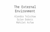 The External Environment Alandra Telschow Dylan Dubois Mahilet Asfaw.