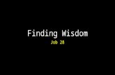 Finding Wisdom Job 28. Finding Wisdom Introduction.