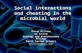 Social interactions and cheating in the microbial world Steve Allison UC Irvine Ecology and Evolutionary Biology Earth System Science allisons@uci.edu.
