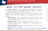 TEKS 5.8B: Explain how the Sun and the ocean interact in the water cycle. What is the water cycle? The water cycle is the repeated movement of water through.
