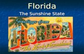 Florida The Sunshine State. Florida's flag represents the land of sunshine, flowers, palm trees, rivers and lakes. The seal features a brilliant sun,