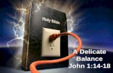A Delicate Balance John 1:14-18. Randy Alcorn Black.