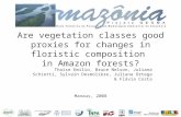 Are vegetation classes good proxies for changes in floristic composition in Amazon forests? Thaise Emilio, Bruce Nelson, Juliana Schietti, Sylvain Desmolière,