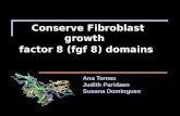 Conserve Fibroblast growth factor 8 (fgf 8) domains Ana Tomas Judith Paridaen Susana Domingues.