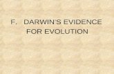 F. DARWIN’S EVIDENCE FOR EVOLUTION. 1. Fossils- fit a pattern.